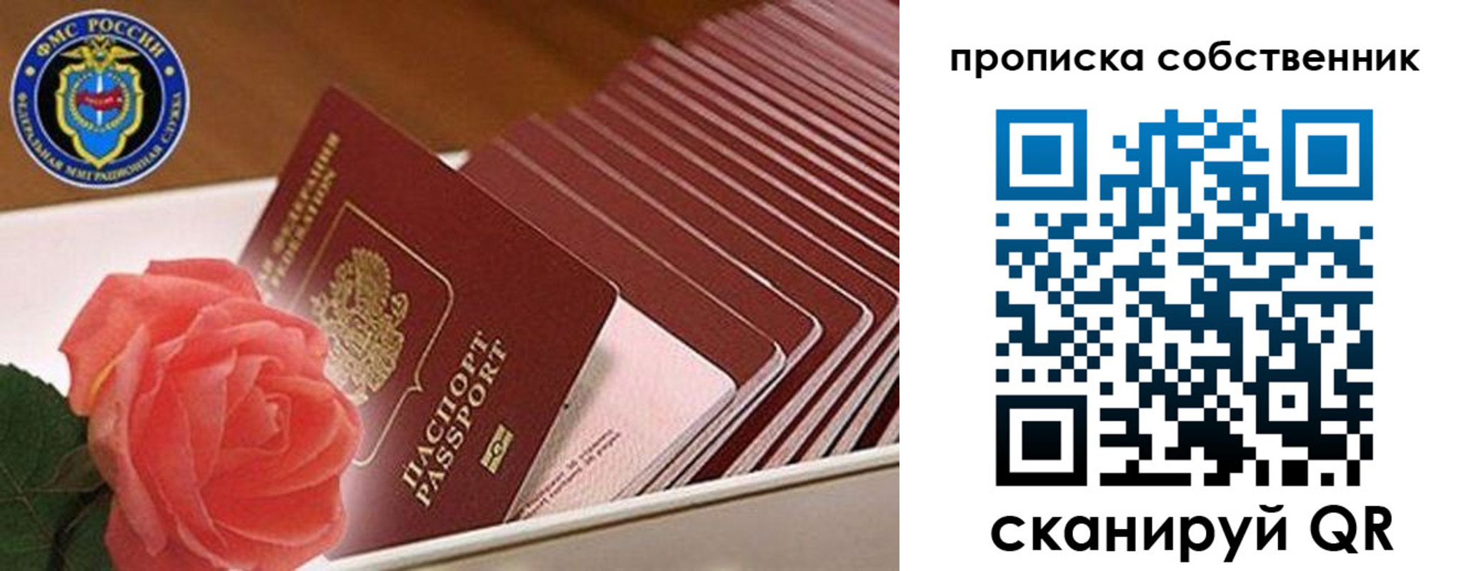 прописка поиск в Ноябрьске